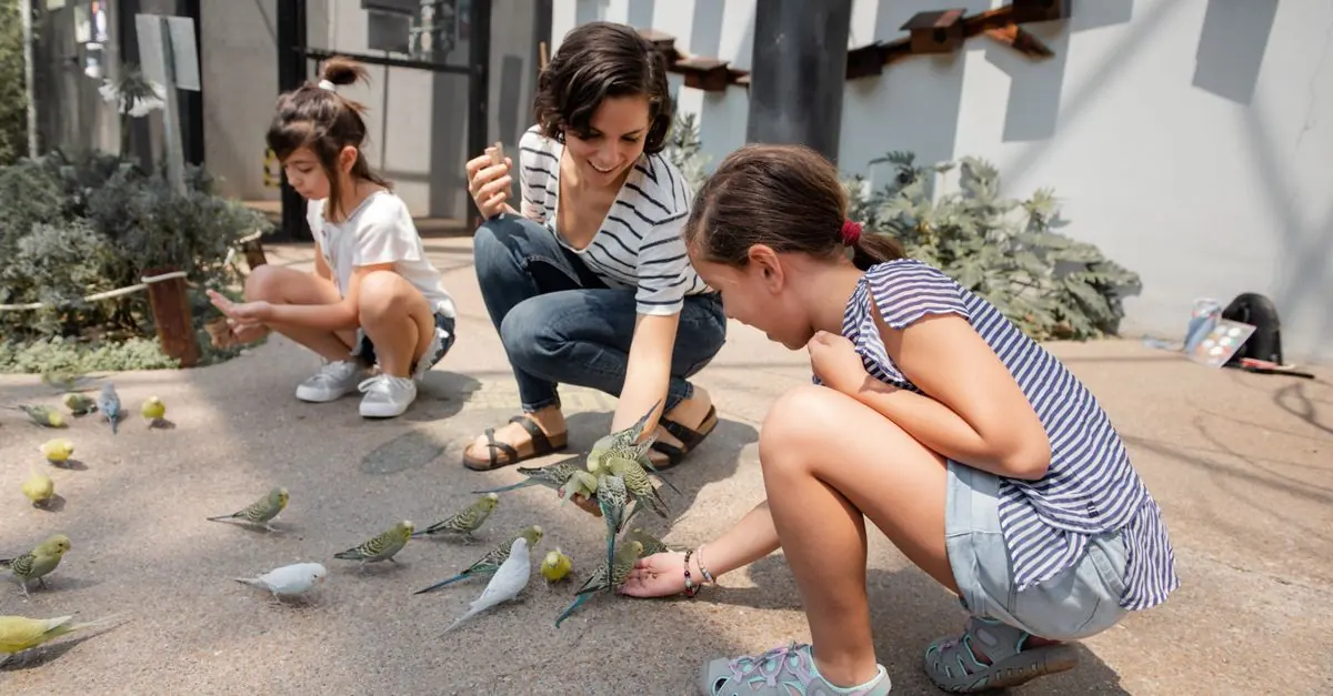 止まり木付きの鳥用キャリーに入ったインコを安全に運ぶ様子